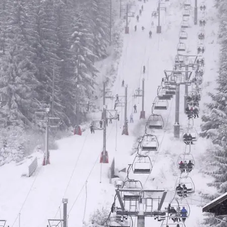 T3 With Garden In * Xonrupt-Longemer